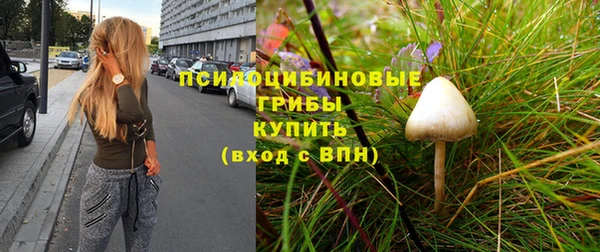 молекула духа Гусь-Хрустальный