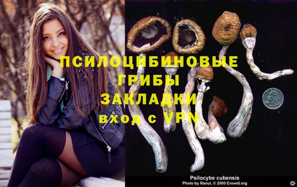 мдма Гусев