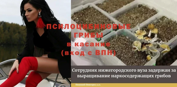 марихуана Гусиноозёрск