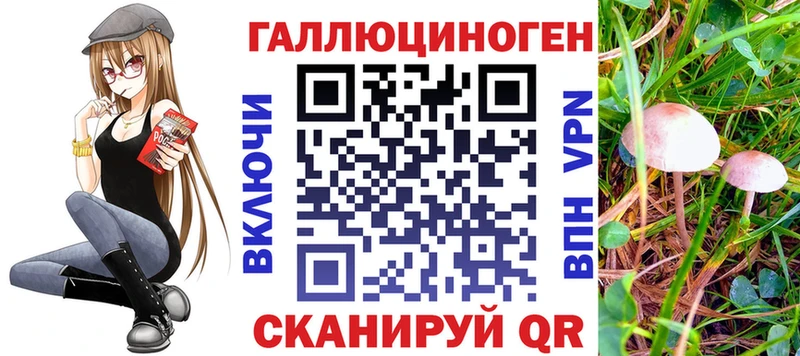 Псилоцибиновые грибы мицелий  Купить закладки  Инсар 